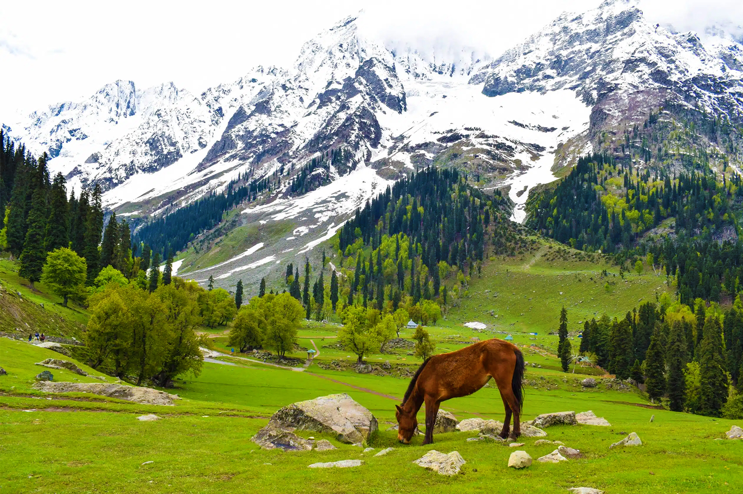 kashmir-sonmarg